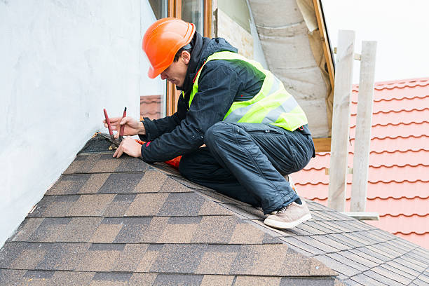 Roof Gutter Cleaning in Herricks, NY