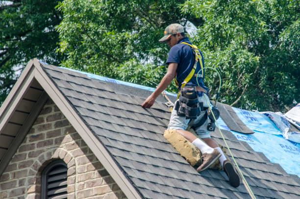 Best Roof Gutter Cleaning  in Herricks, NY